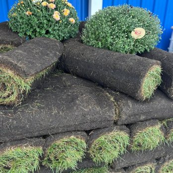 Scotty Landscape Supply - Landscaping Near Me - Sheboygan, Wisconsin Scotty Landscape Supply - Landscaping Near Me - Sheboygan, Wisconsin