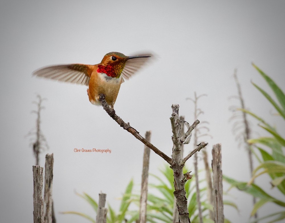 UPPER CERVICAL CHIROPRACTIC OF MARIN 17 Photos & 93 Reviews 433