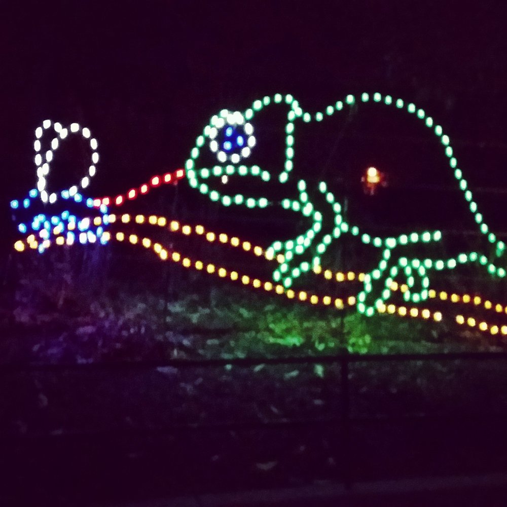 ZooLights - Zoos Near Me - Washington, DC, District of Columbia
