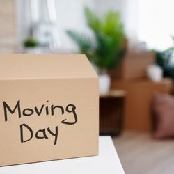 The Moving Company - The Moving Company