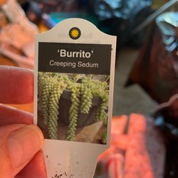 Very had to find.