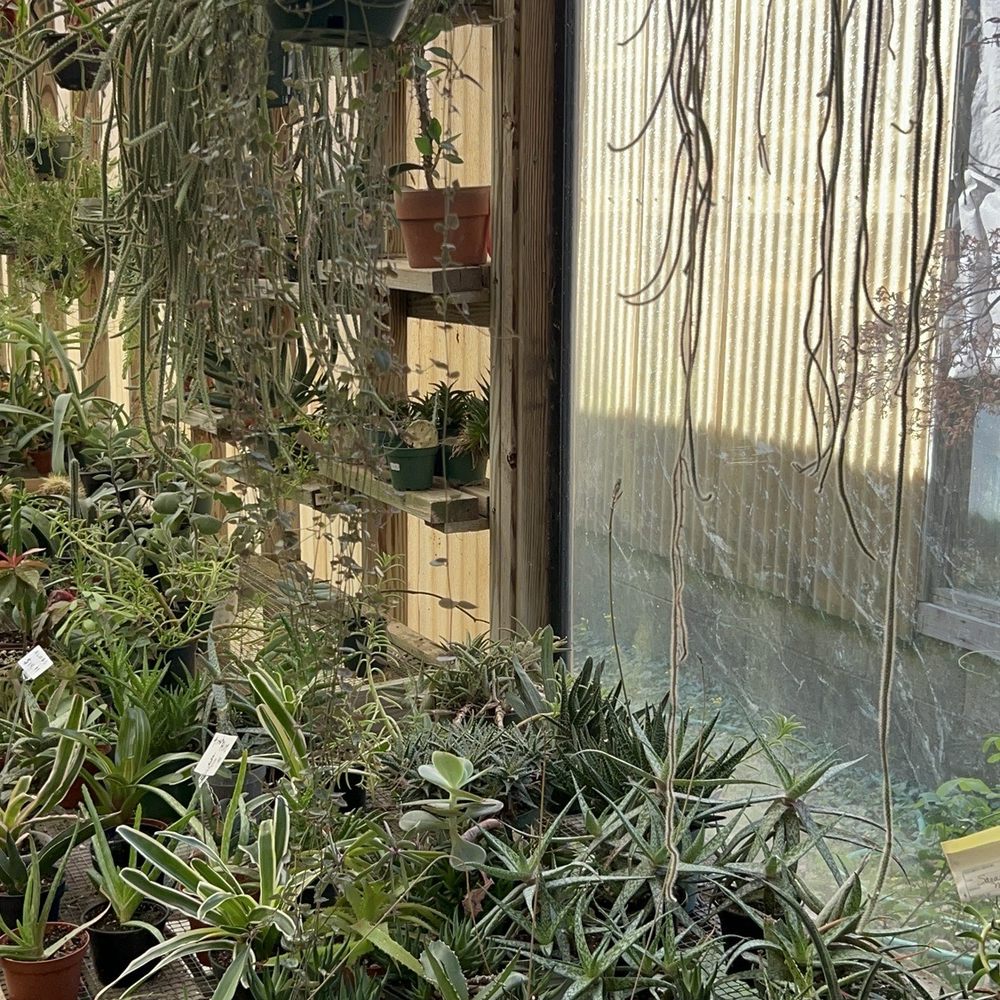 Jarrett's Jungle - Florists Near Me - West Columbia, South Carolina