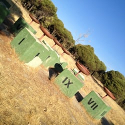 Dehesa De Navalcarbón - Esculturas rarunas.
