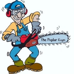 The Poplar Guys Tree Removal