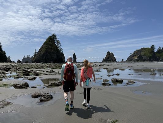 Shi Shi Beach by null