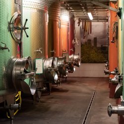 My Tuscan Wine And Tours - Cesani Winery