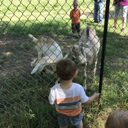 Scatter Joy Acres