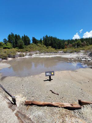 Hell's Gate Geothermal Reserve and Mud Spa by null
