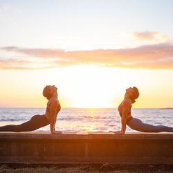 Sunset Vinyasa 5-6 or 5:30-6:30 pm depending on the season