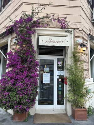 Romeow Cat Bistrot by null