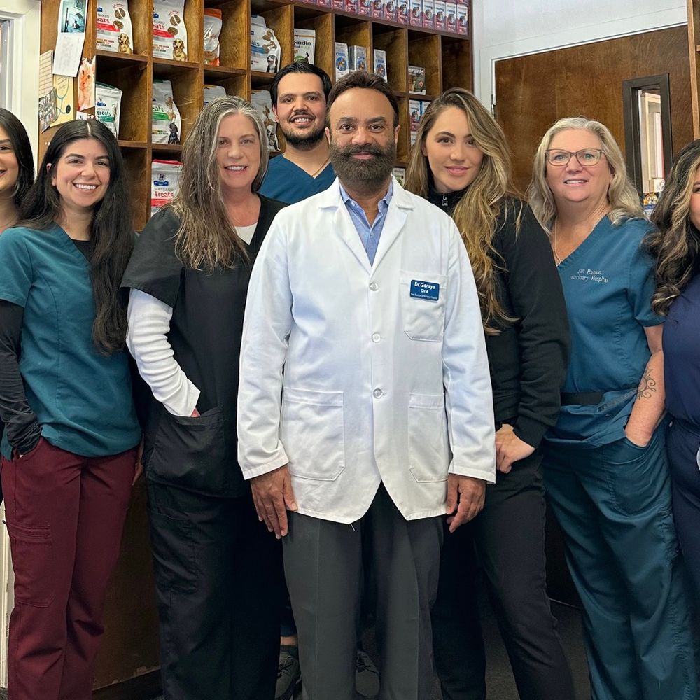 TOP 10 BEST Dog Cardiologist in San Ramon, CA - Updated 2025 - Yelp