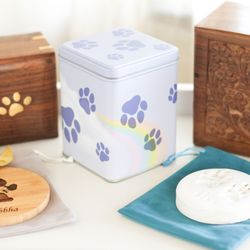 San Fernando Valley Pet Cremation