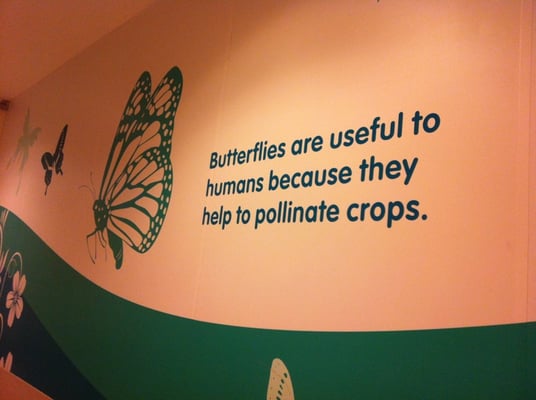 City Square Mall by null