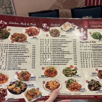 Mama Lu's Dumpling House - Dim Sum Near Me - Tustin, California Mama Lu's Dumpling House - Dim Sum Near Me - Tustin, California