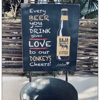 Rancho Carisuva - Love Beer. :D - Horseback Riding Near Me - Cabo San Lucas, BCS Rancho Carisuva - Love Beer. :D - Horseback Riding Near Me - Cabo San Lucas, BCS