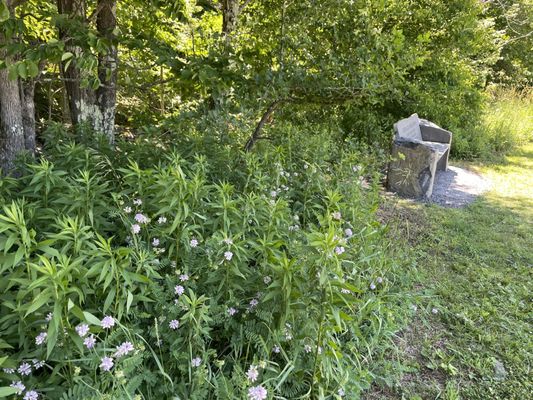 The Windham Path by null