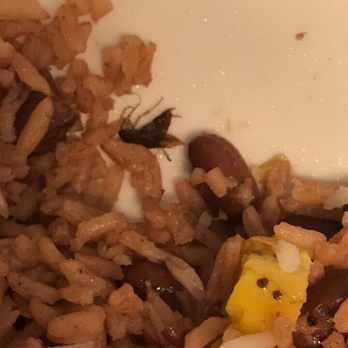 Yambo Restaurant - German roach inside the gallo pinto - Latin American Near Me - Miami, Florida