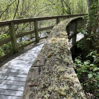 Narbeck Wetland Sanctuary - One of the boardwalks. - Parks Near Me - Everett, Washington Narbeck Wetland Sanctuary - One of the boardwalks. - Parks Near Me - Everett, Washington