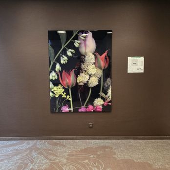 Motel One - Elevator lobby. July 2025 - Hotels Near Me - Amsterdam, New Hampshire