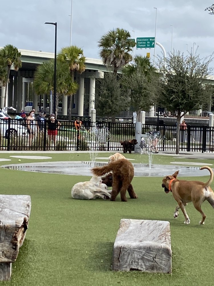 JULIAN B. LANE RIVERFRONT PARK DOG PARK Updated October 2024 25
