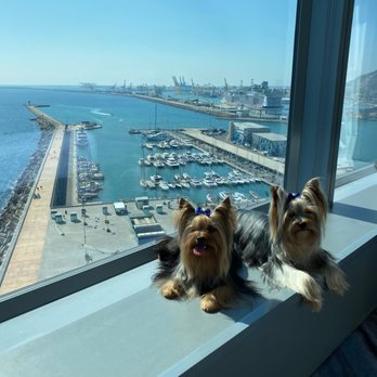 W Barcelona - Hotels Near Me - Barcelona, B W Barcelona - Hotels Near Me - Barcelona, B