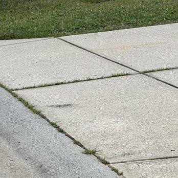 William Douglas Property Management - Weeds in driveway - Property Management Near Me - Charlotte, North Carolina
