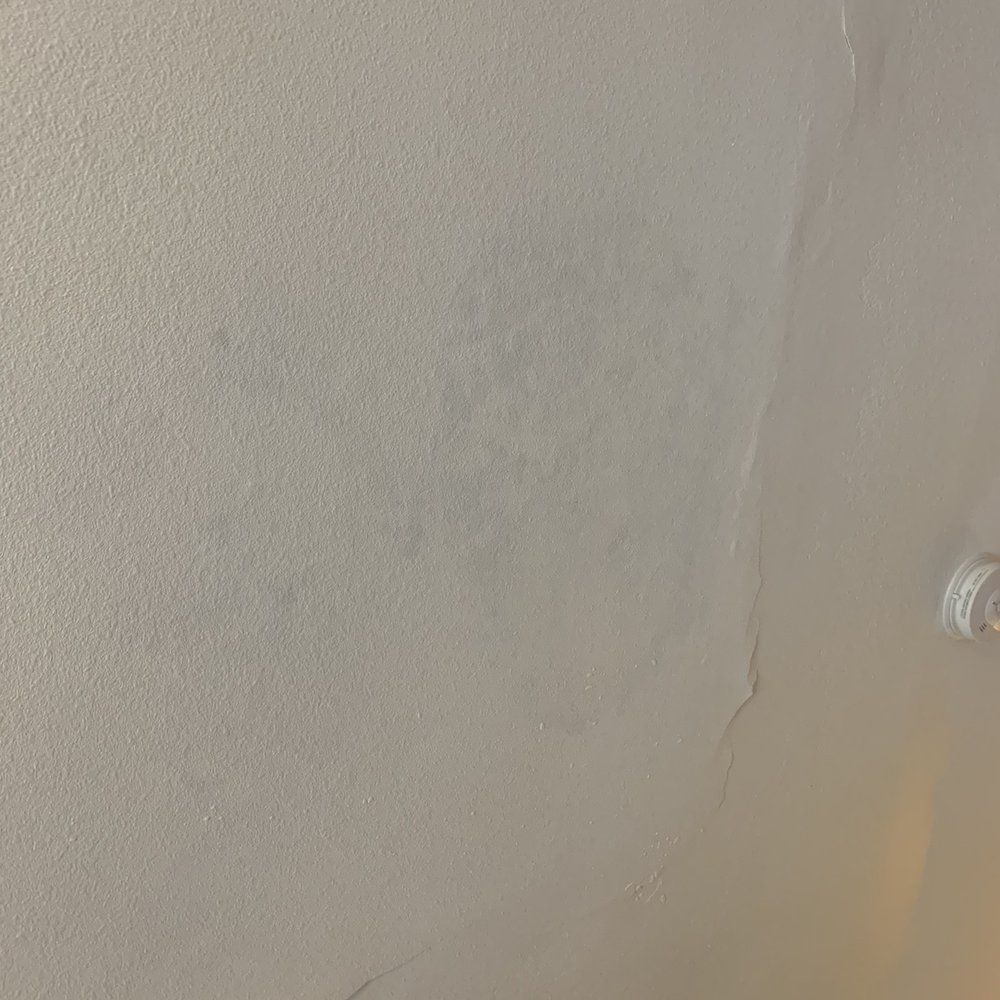 Chula Vista Inn - MOLD on the ceiling !!! - Hotels Near Me - Chula Vista, California Chula Vista Inn - MOLD on the ceiling !!! - Hotels Near Me - Chula Vista, California