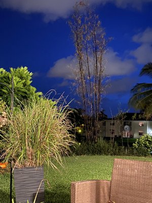 BAMBOO AND ORCHID GARDENS - Updated July 2024 - 371 Photos & 52 Reviews