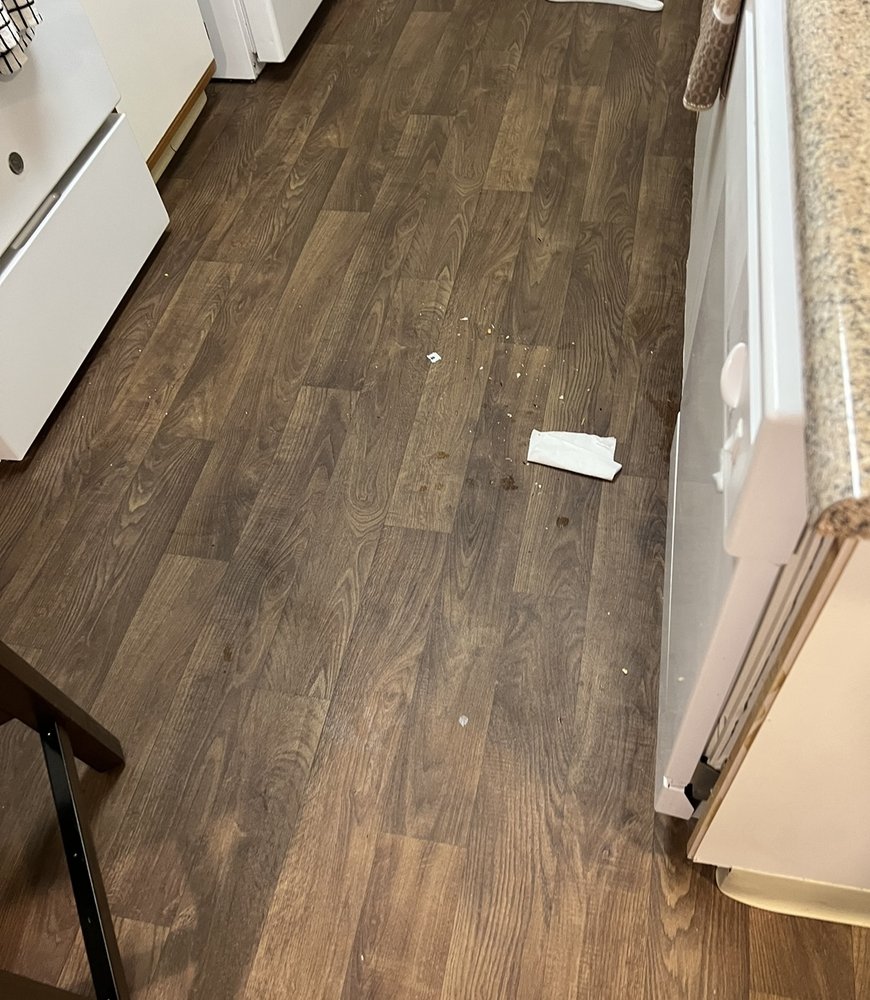 PERLA PRINCESS OF CLEANING - Updated June 2025 - Request a Quote ...