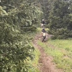 Telluride Moto - Motorcycle guided tour to Last Dollar Rd Telluride, Co