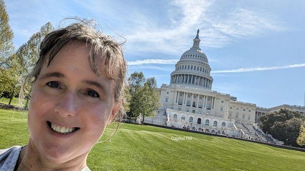 USA Guided Tours by null