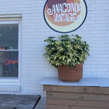 Anaconda Vintage - Cute signage - Used, Vintage & Consignment Near Me - Nashville, Tennessee Anaconda Vintage - Cute signage - Used, Vintage & Consignment Near Me - Nashville, Tennessee