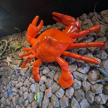 Hungry Crab - Decor - Seafood Near Me - Davenport, Florida Hungry Crab - Decor - Seafood Near Me - Davenport, Florida