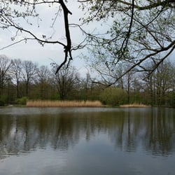 Herrmann-Löns-Park - Brücke und Anleger am Annateich