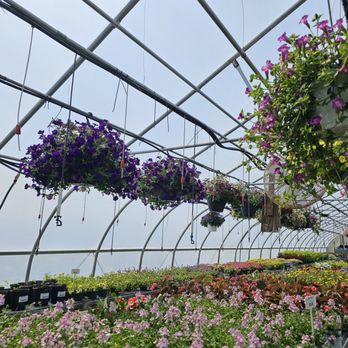 Mike's Hothouse - Nurseries & Gardening Near Me - Modena, New York