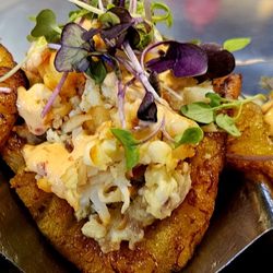 Orchid7 - Breakfast Tacos