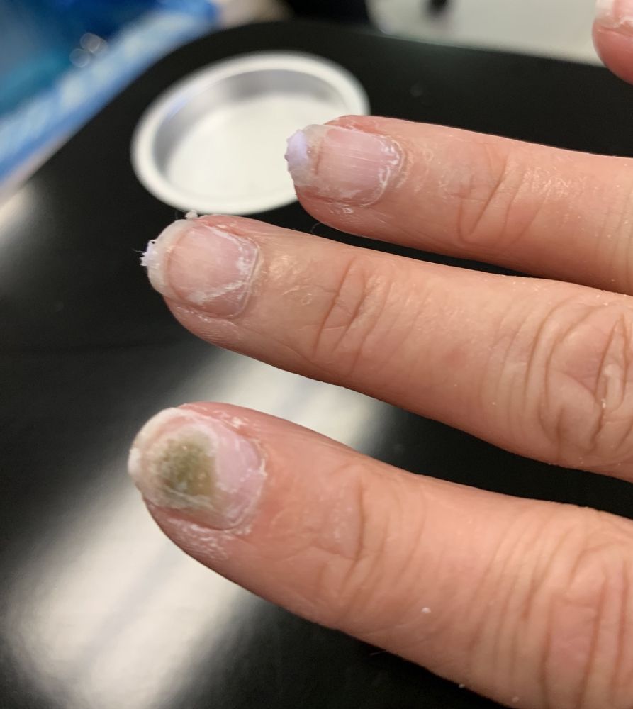 TIC TAC NAILS 10 Photos & 13 Reviews Nail Salons 2922 S Florida