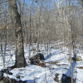 George B Parker Woodland - Little cairns - Hiking Near Me - Coventry, Rhode Island George B Parker Woodland - Little cairns - Hiking Near Me - Coventry, Rhode Island