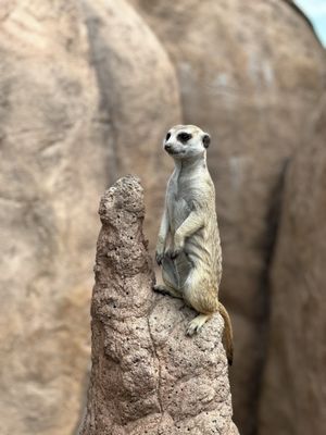 Cheyenne Mountain Zoo by null