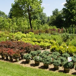 Nash Nurseries