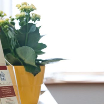 Ute Maluck - Moderner und gemütlicher Behandlungsraum. - Naturopathic/Holistic Near Me - Wermelskirchen, NW