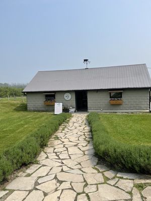 Closson Chase Vineyards by null