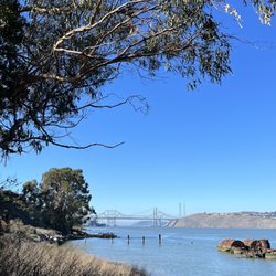 Eckley Pier - 1/2024