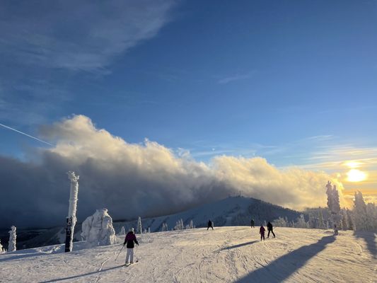 Schweitzer by null