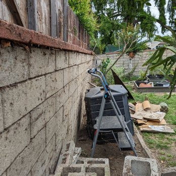 Eduardo Tree Service - Tree Services Near Me - Pico Rivera, California Eduardo Tree Service - Tree Services Near Me - Pico Rivera, California