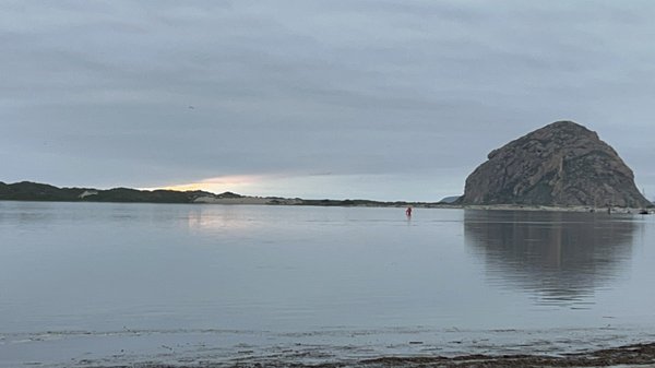 Morro Bay State Park by null