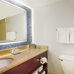 Wyndham Lake Buena Vista Disney Springs Resort Area - Bathroom