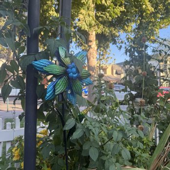 Blue Agave Club - The Garden area - Mexican Near Me - Pleasanton, California