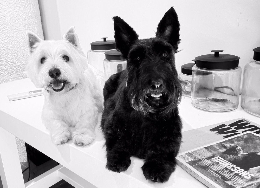 GREEN DOG BATH HOUSE Updated April 2024 5 Sparta Pl, Melbourne