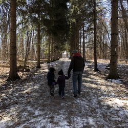 Sheppards Bush - Fantastic walking trails! A lovely spot to spend the day with the family and get outside!!!